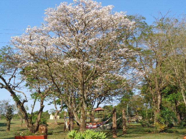 Pousada Fazenda Buracao Мокока Екстер'єр фото
