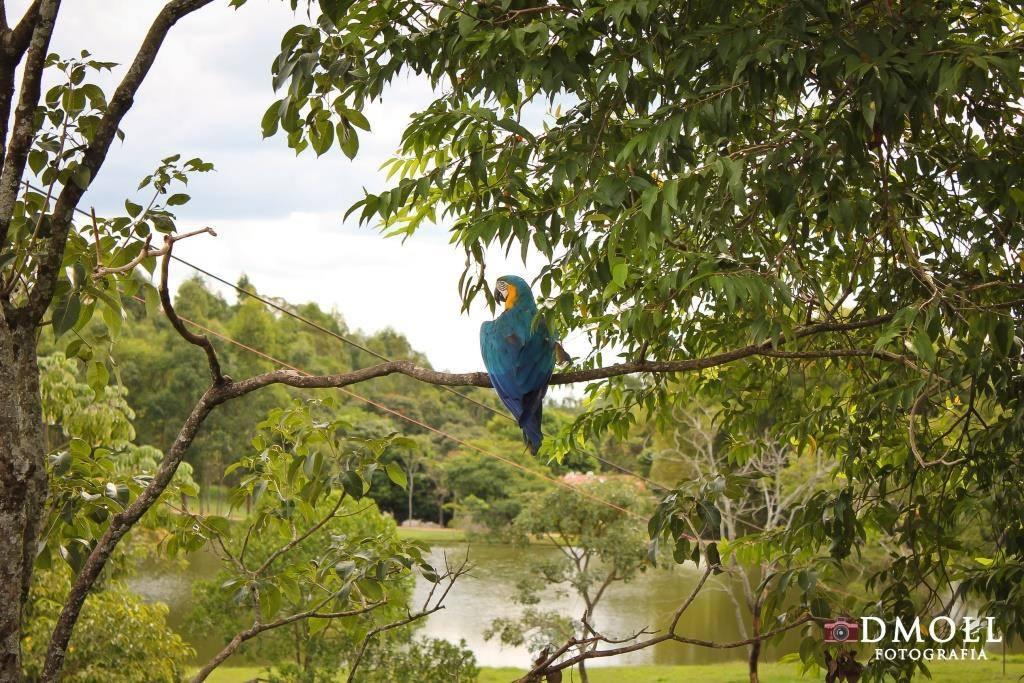 Pousada Fazenda Buracao Мокока Екстер'єр фото